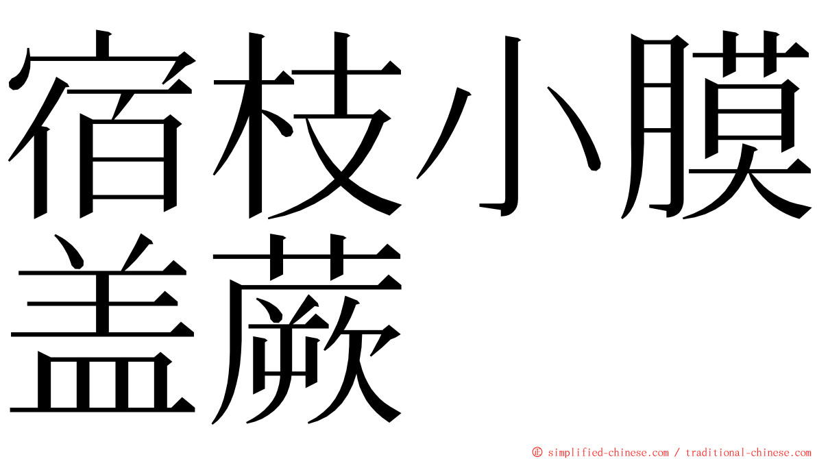 宿枝小膜盖蕨 ming font