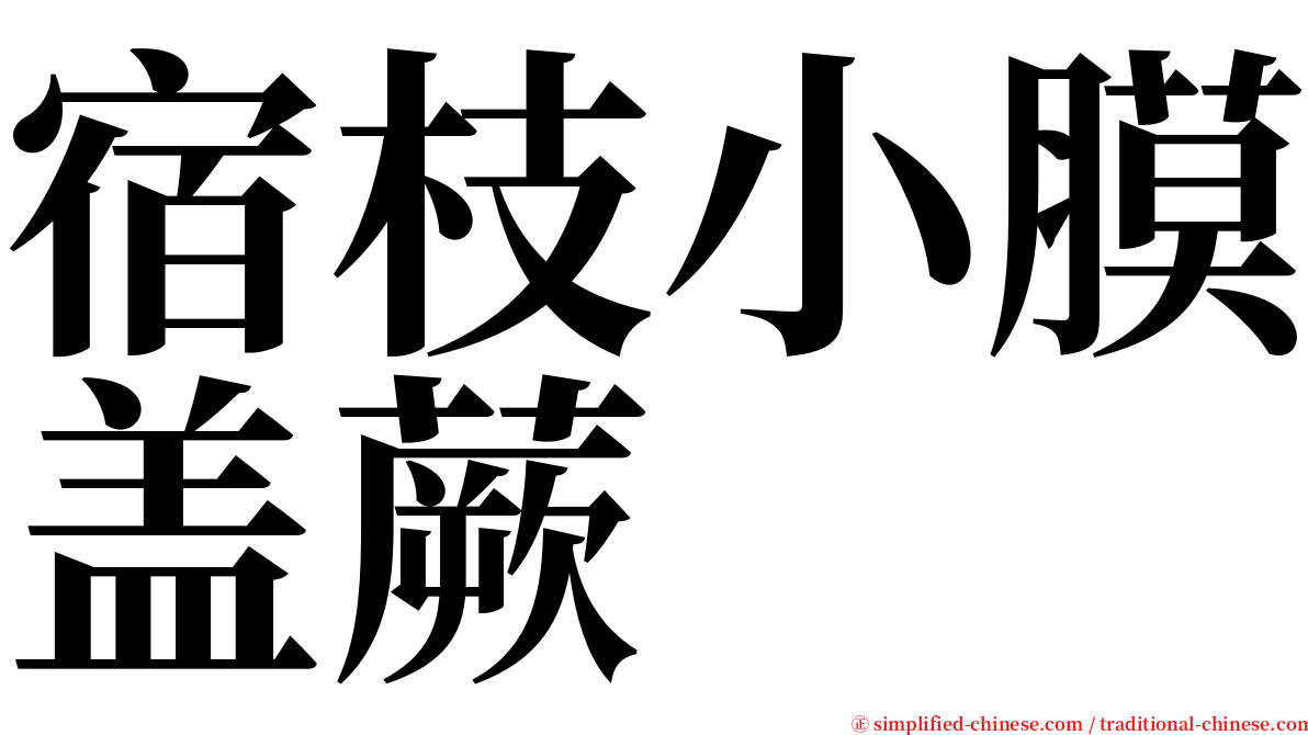 宿枝小膜盖蕨 serif font