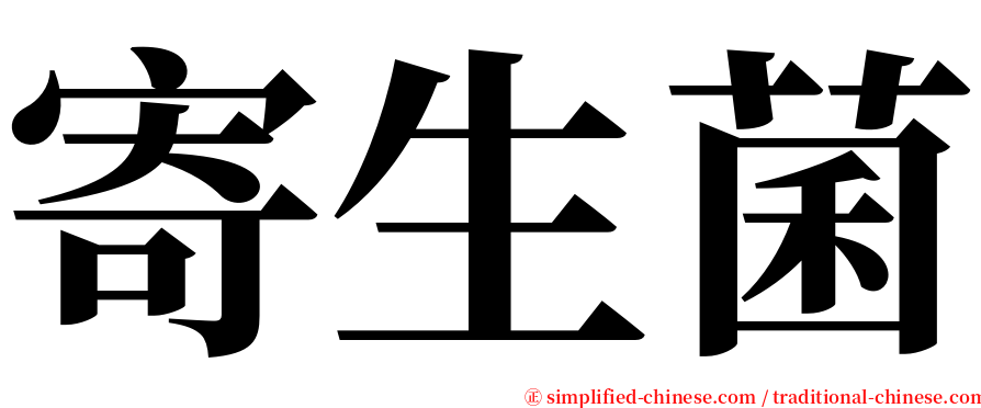 寄生菌 serif font