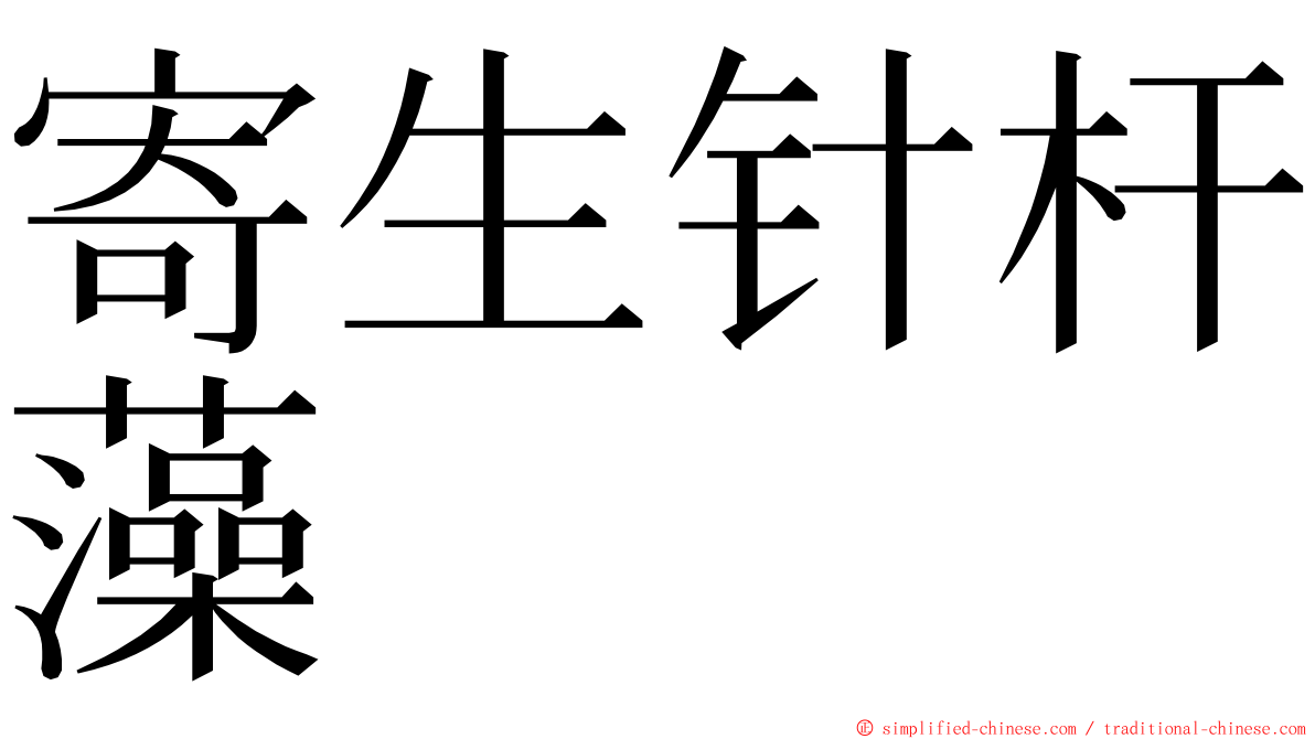 寄生针杆藻 ming font