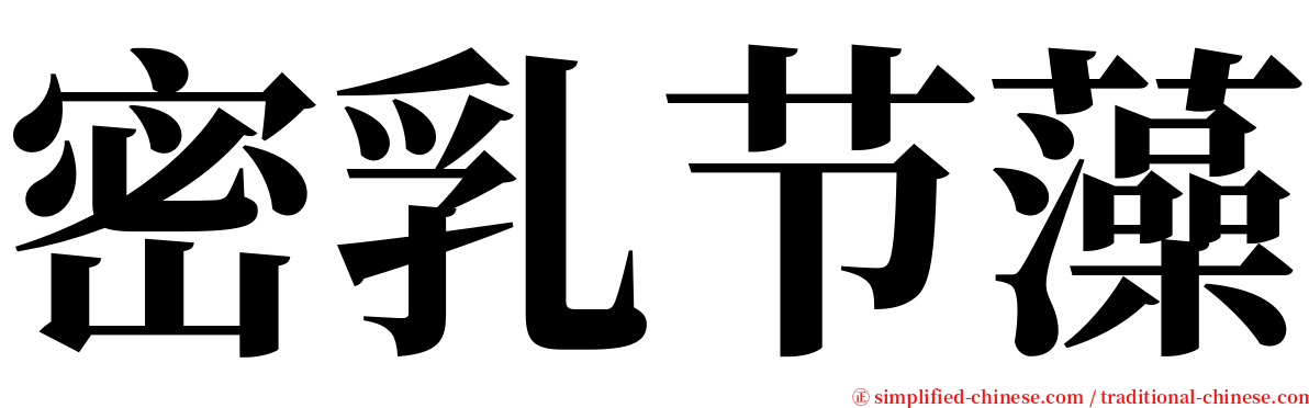 密乳节藻 serif font