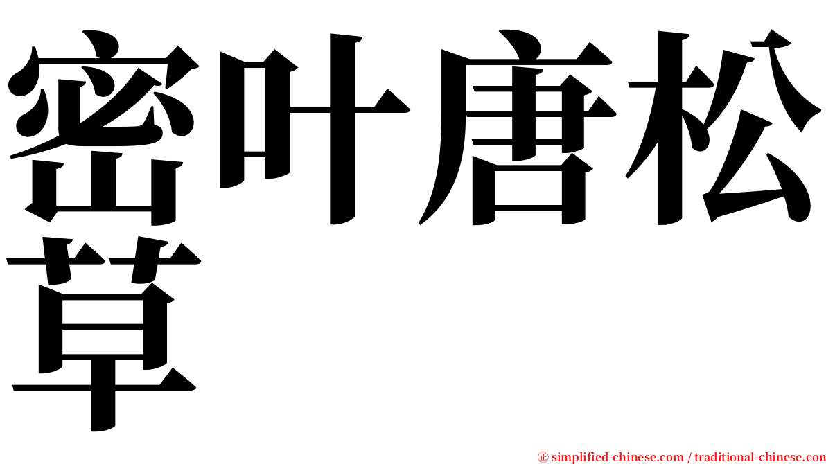 密叶唐松草 serif font
