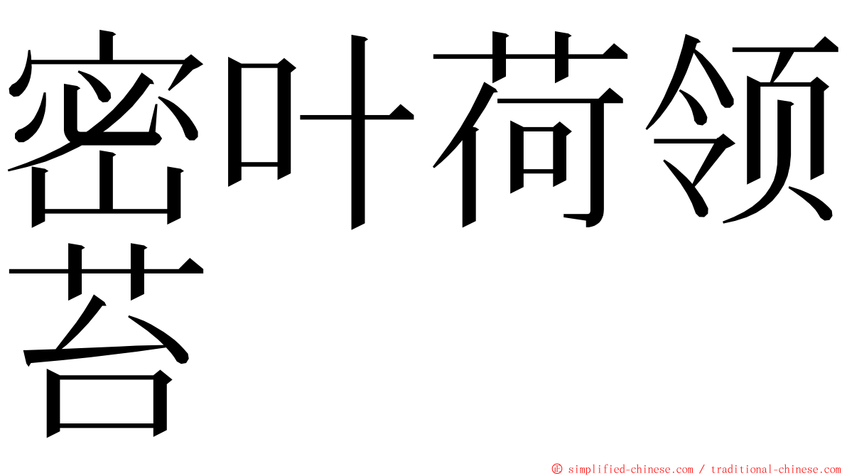 密叶荷领苔 ming font