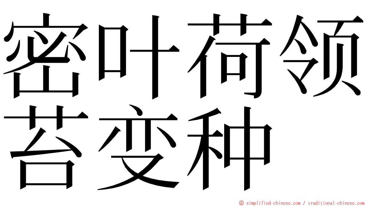 密叶荷领苔变种 ming font