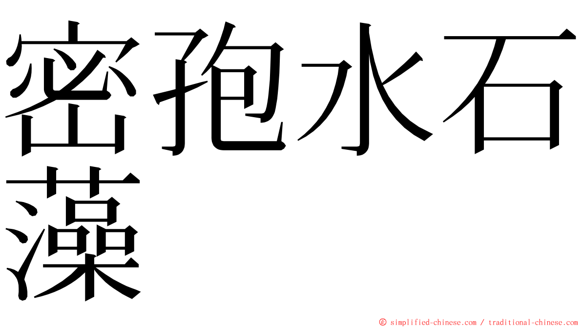 密孢水石藻 ming font