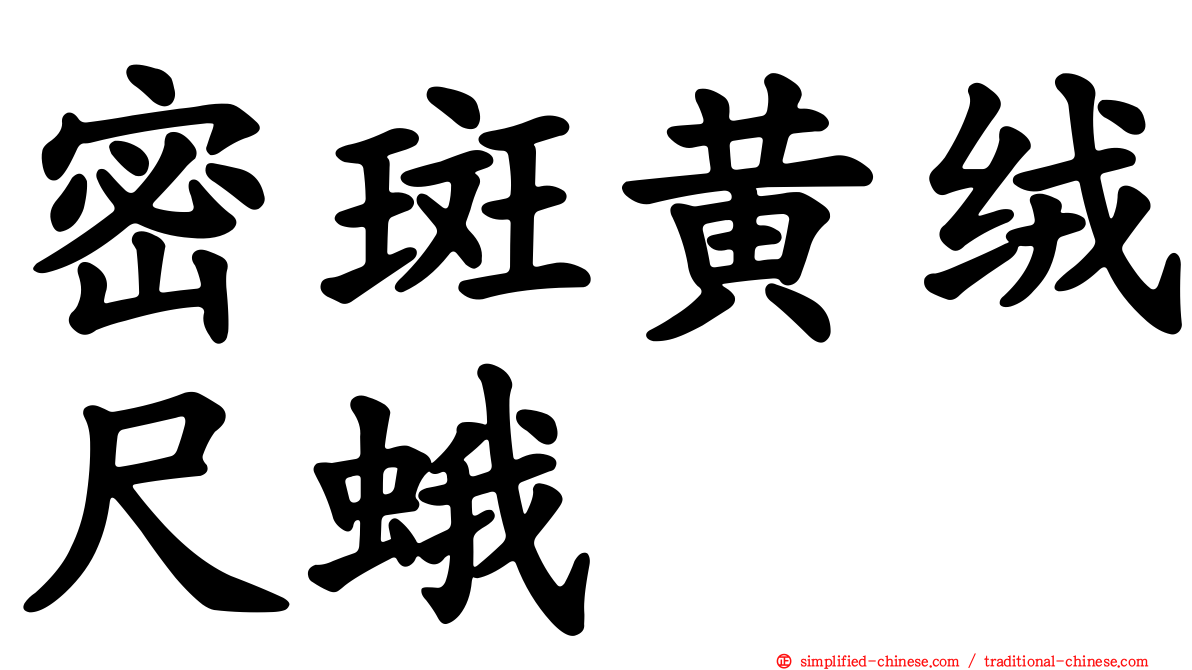 密斑黄绒尺蛾