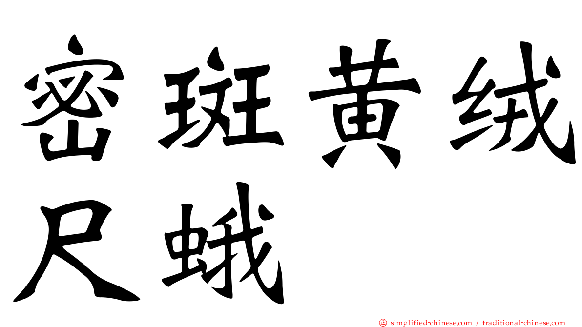 密斑黄绒尺蛾
