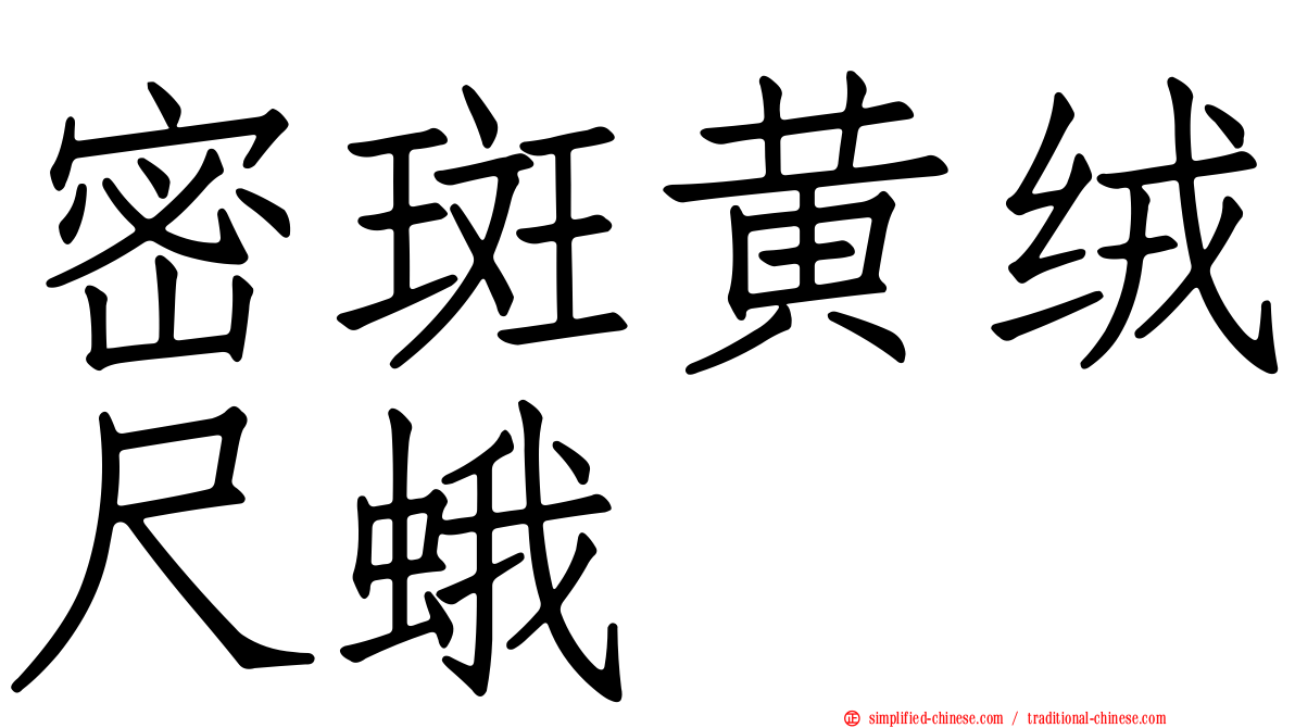 密斑黄绒尺蛾