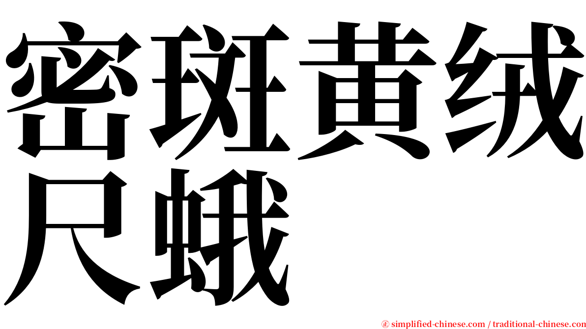 密斑黄绒尺蛾 serif font