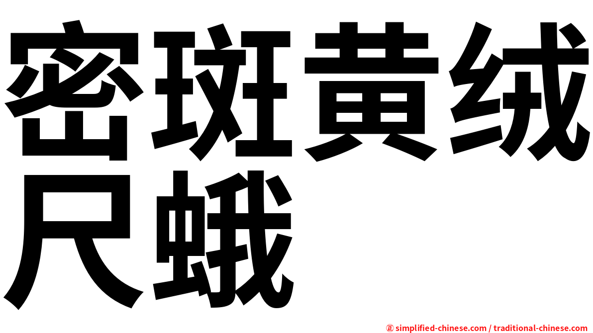 密斑黄绒尺蛾