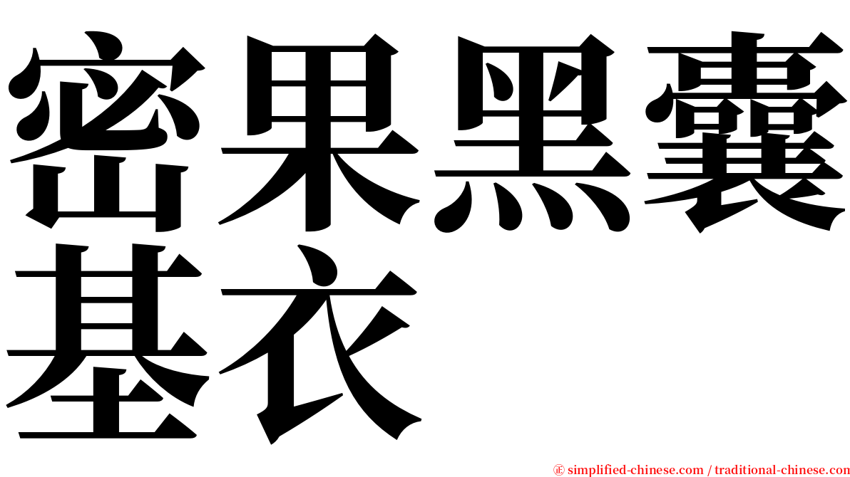 密果黑囊基衣 serif font