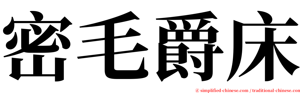 密毛爵床 serif font