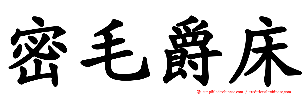 密毛爵床