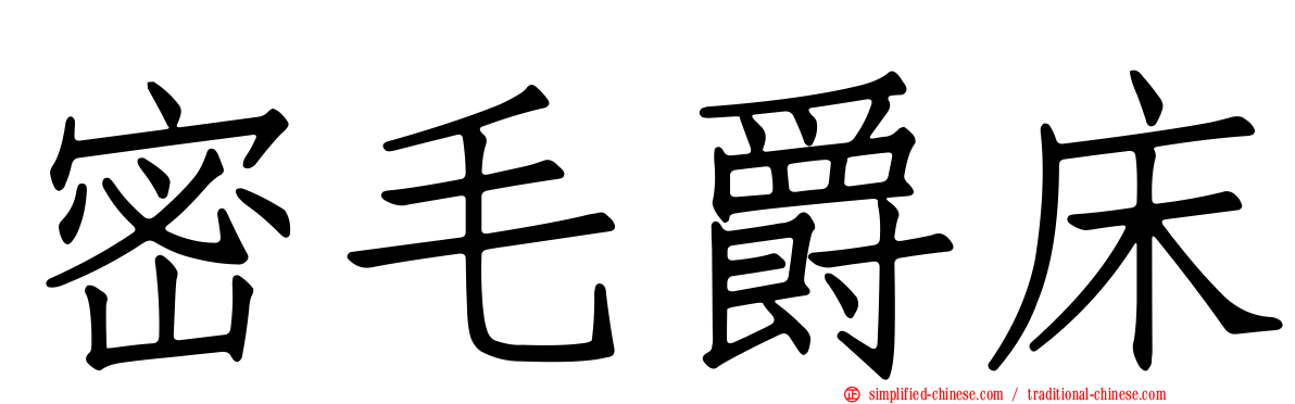 密毛爵床