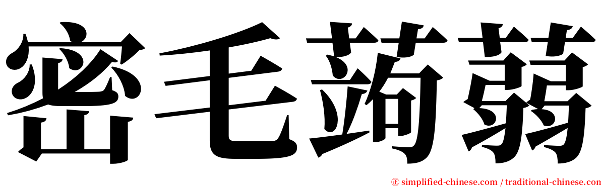 密毛蒟蒻 serif font