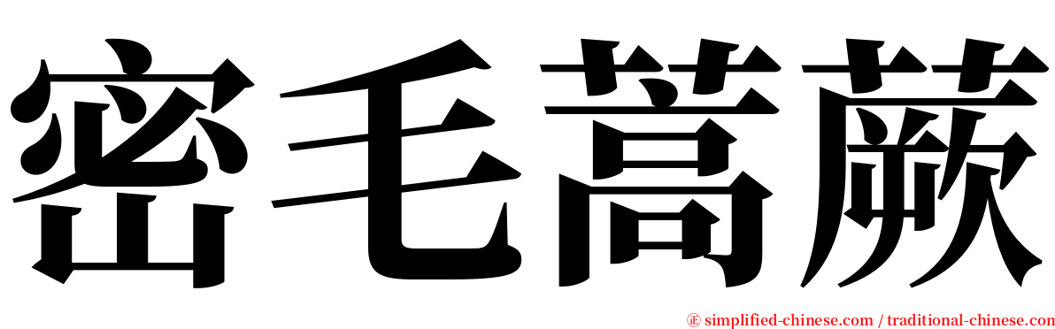 密毛蒿蕨 serif font