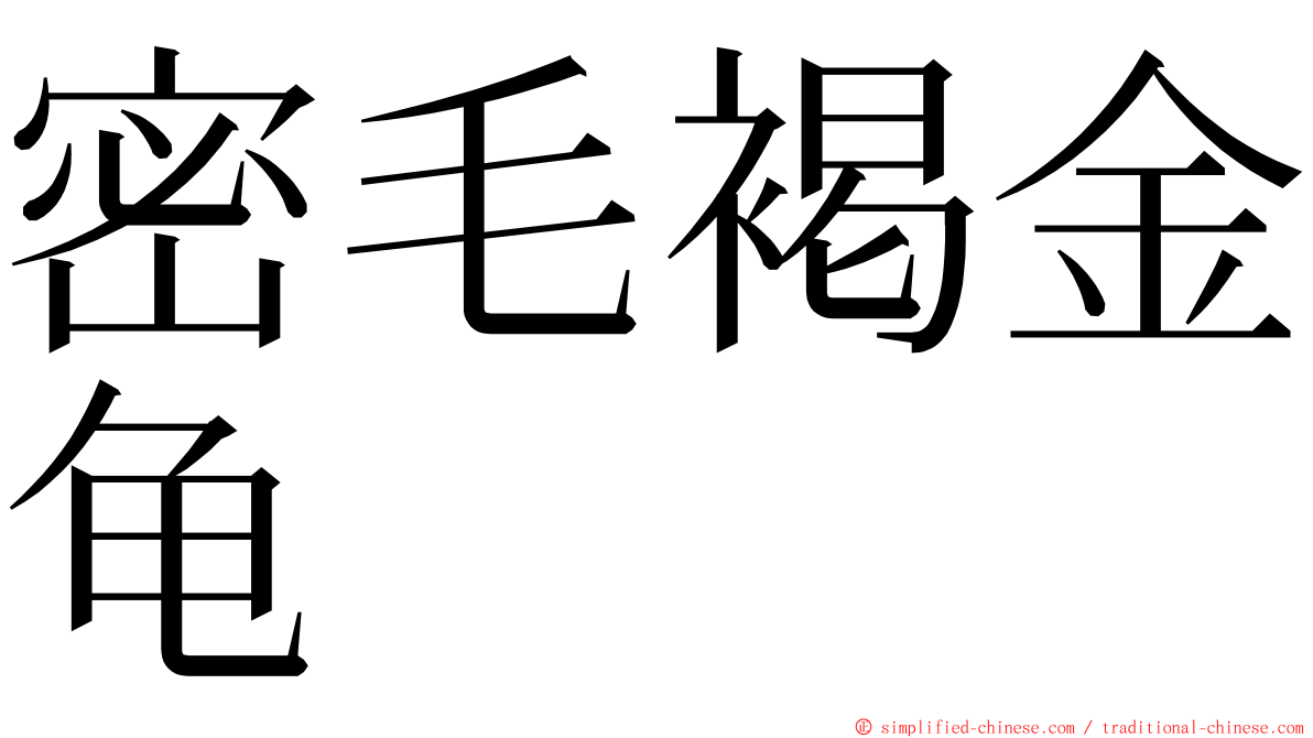密毛褐金龟 ming font