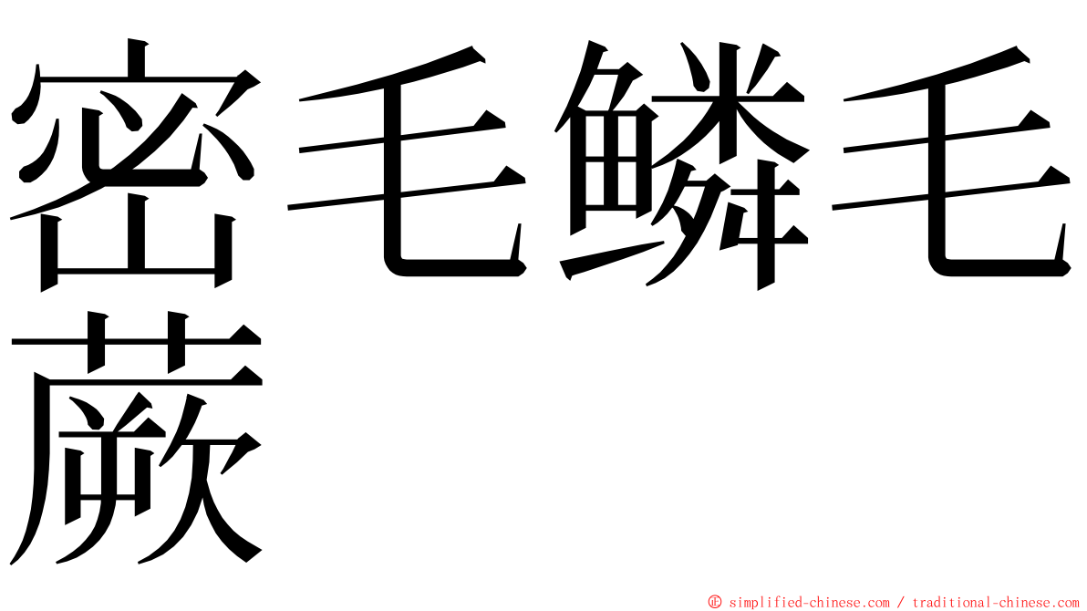 密毛鳞毛蕨 ming font