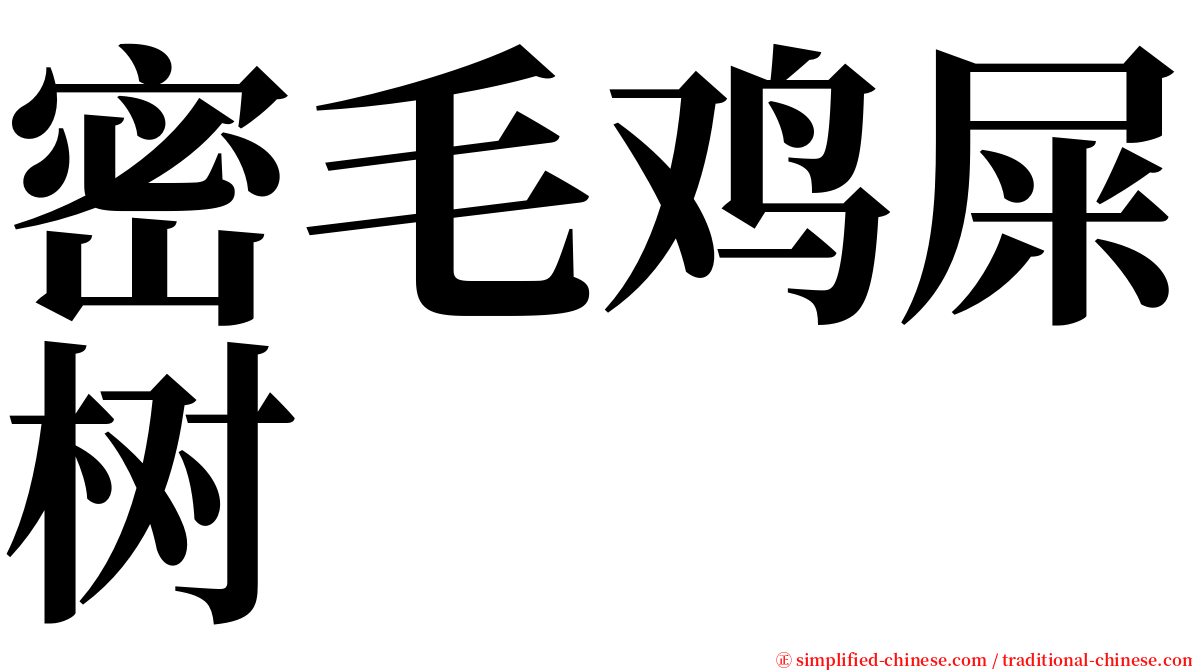 密毛鸡屎树 serif font