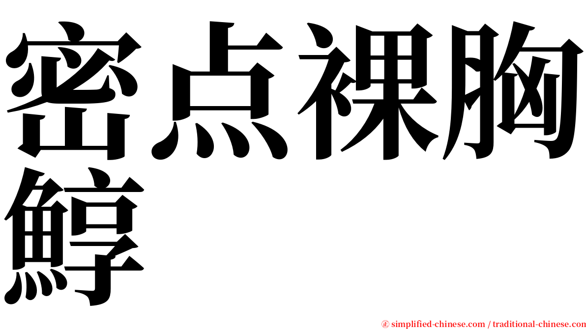 密点裸胸鯙 serif font