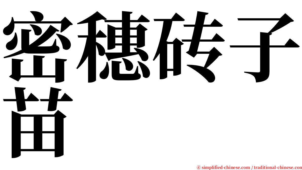 密穗砖子苗 serif font