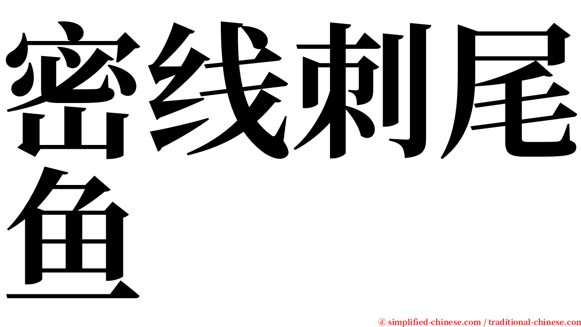 密线刺尾鱼 serif font