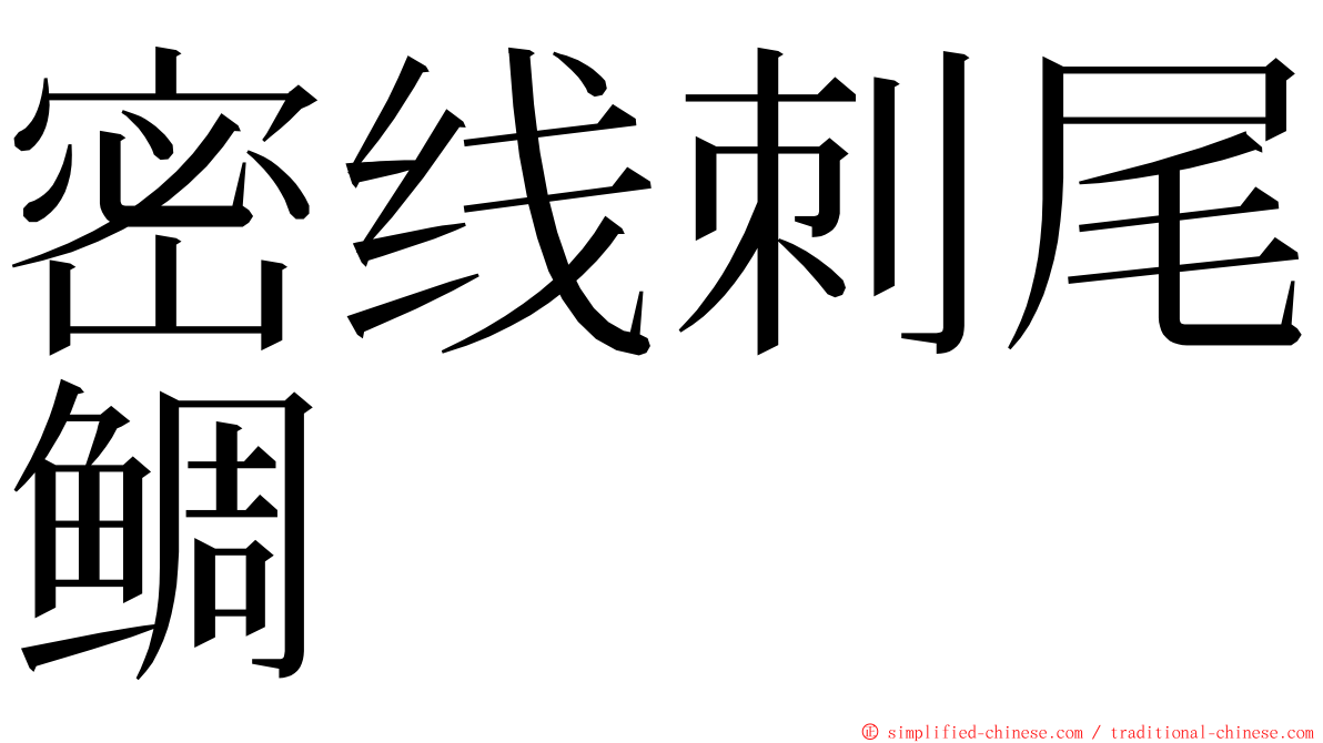 密线刺尾鲷 ming font