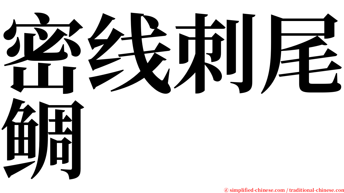 密线刺尾鲷 serif font