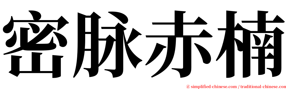 密脉赤楠 serif font