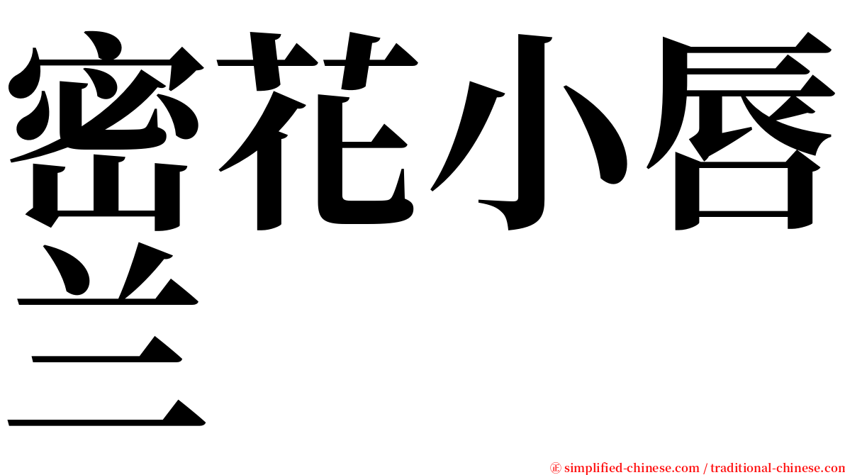 密花小唇兰 serif font