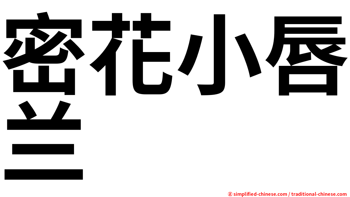 密花小唇兰