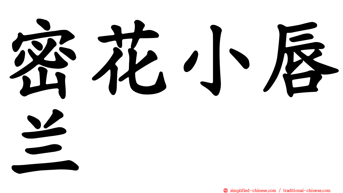 密花小唇兰