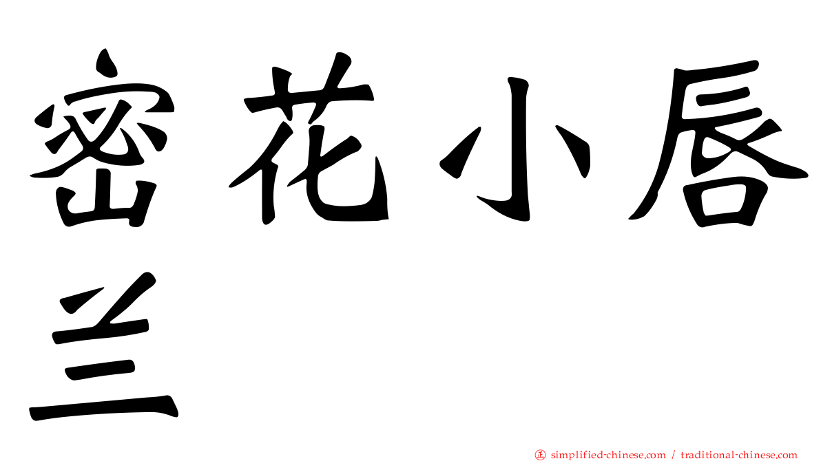 密花小唇兰