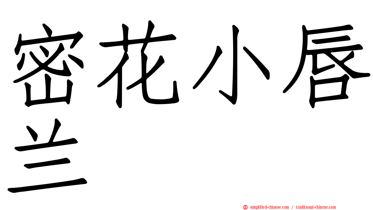 密花小唇兰