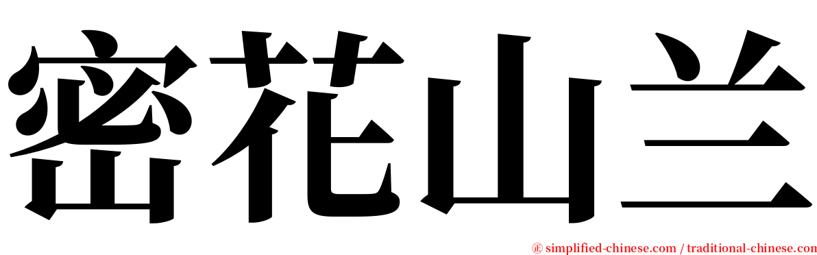 密花山兰 serif font