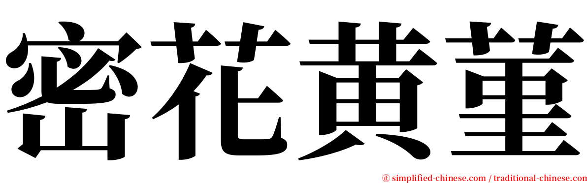 密花黄菫 serif font