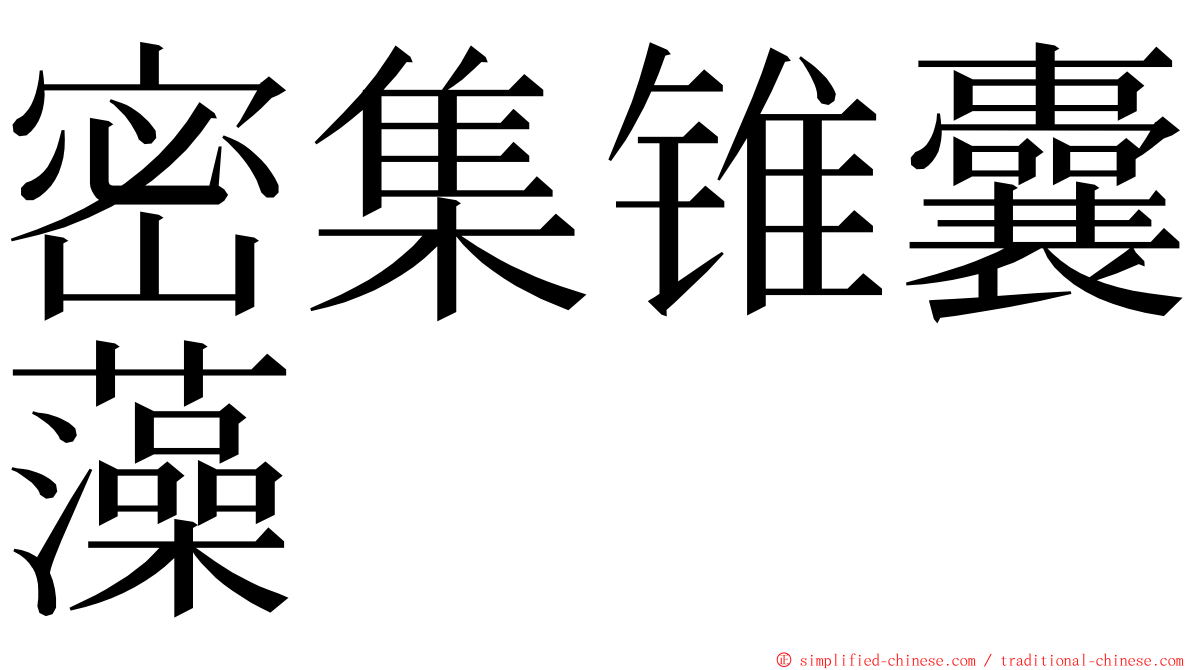 密集锥囊藻 ming font