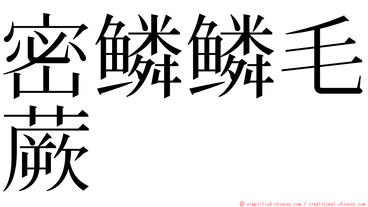 密鳞鳞毛蕨 ming font