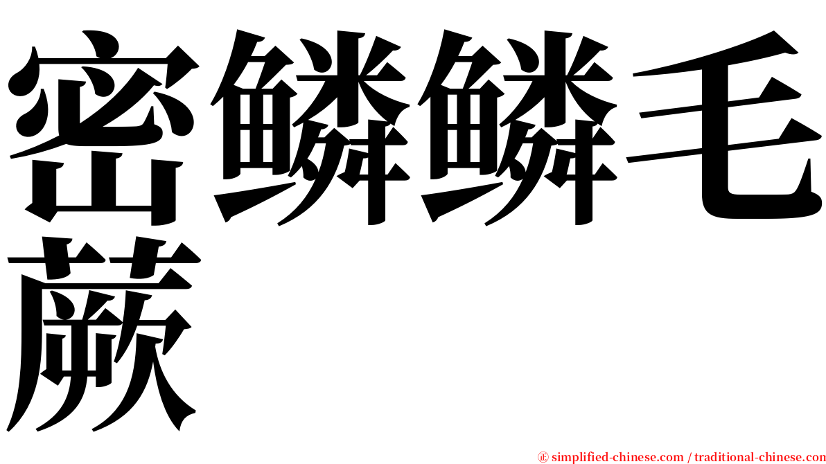 密鳞鳞毛蕨 serif font