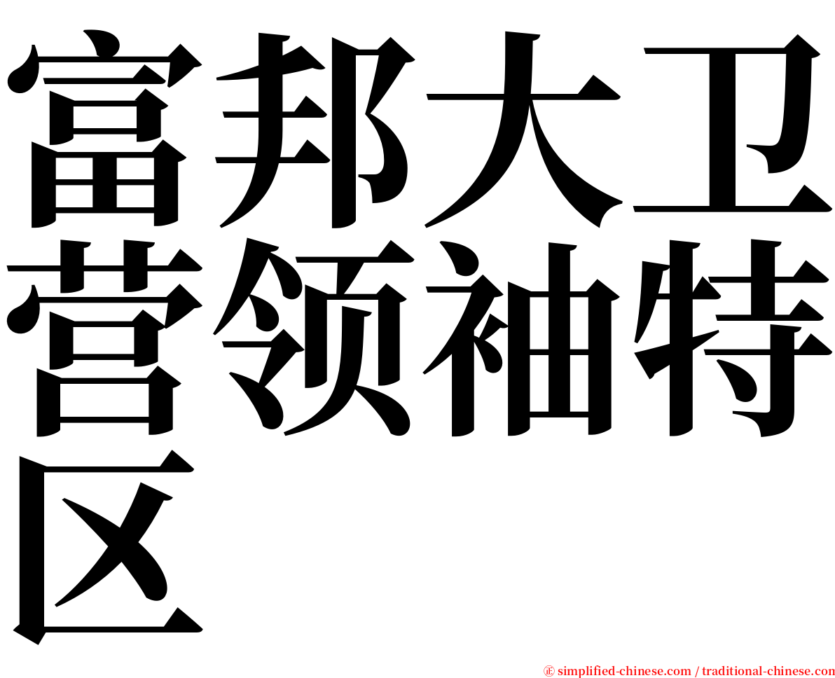 富邦大卫营领袖特区 serif font