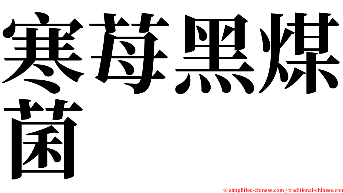 寒苺黑煤菌 serif font