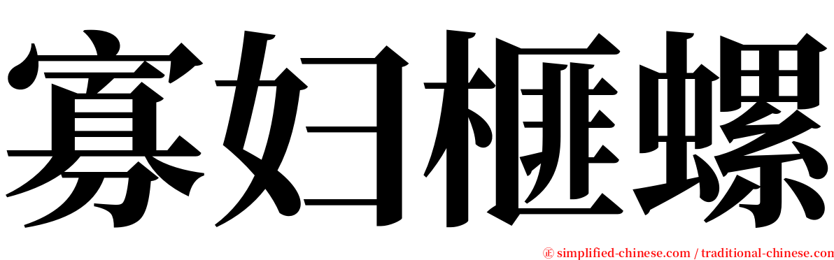 寡妇榧螺 serif font