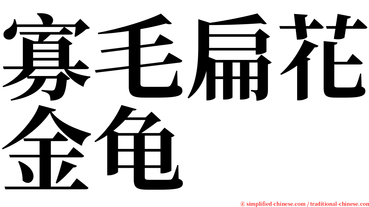 寡毛扁花金龟 serif font