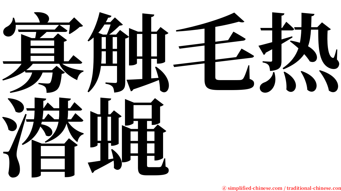 寡触毛热潜蝇 serif font