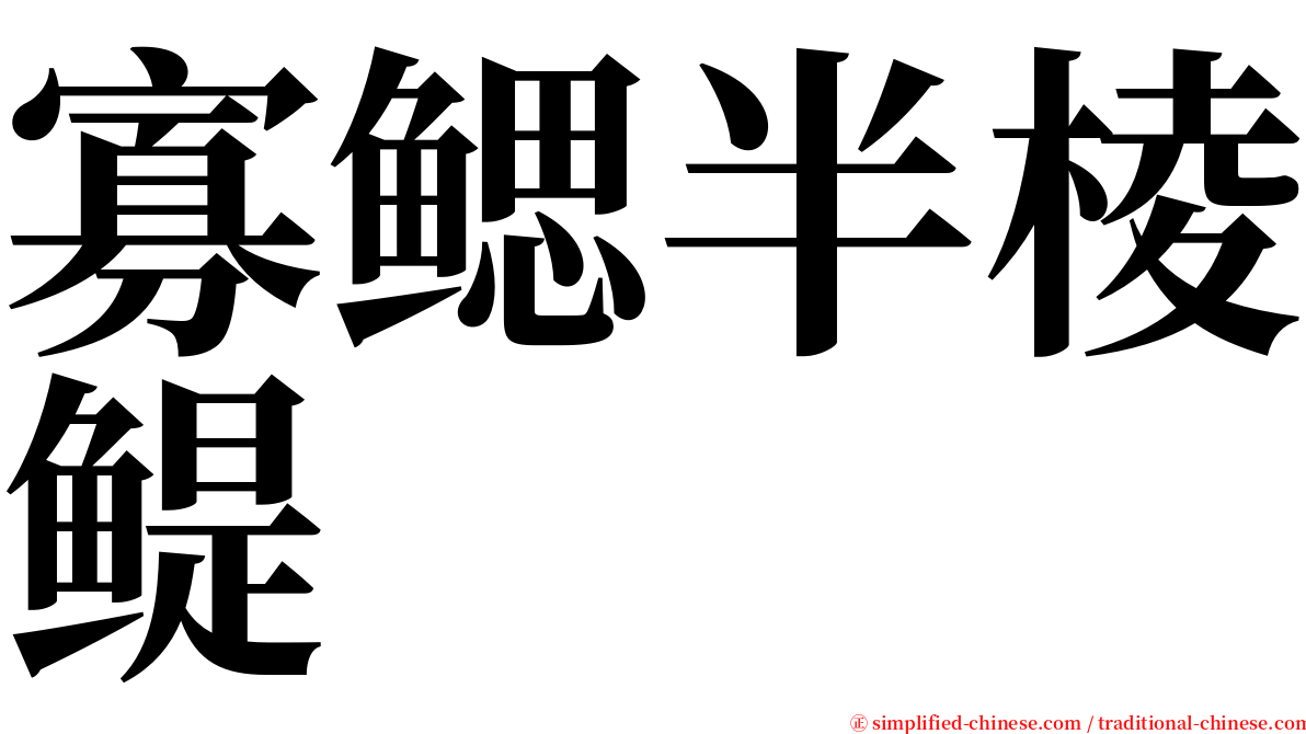 寡鳃半棱鳀 serif font