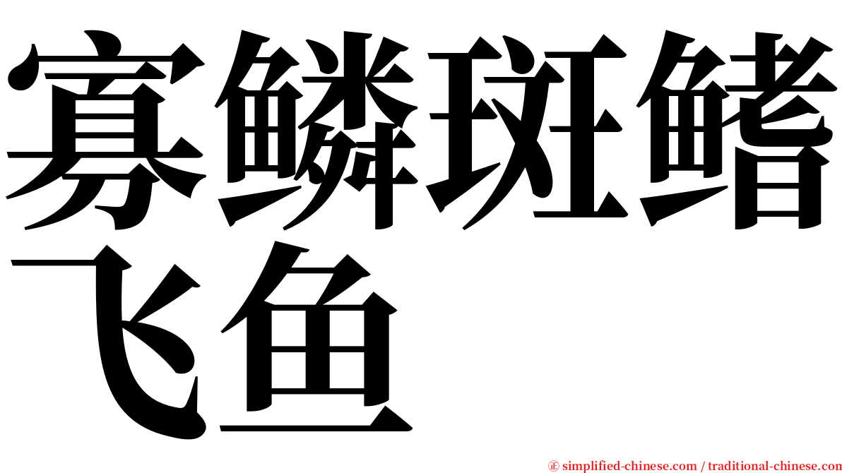 寡鳞斑鳍飞鱼 serif font