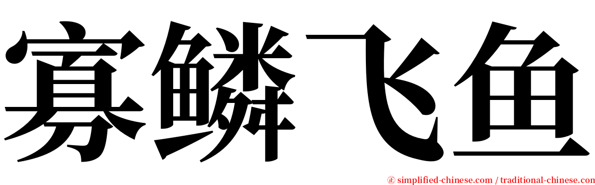 寡鳞飞鱼 serif font