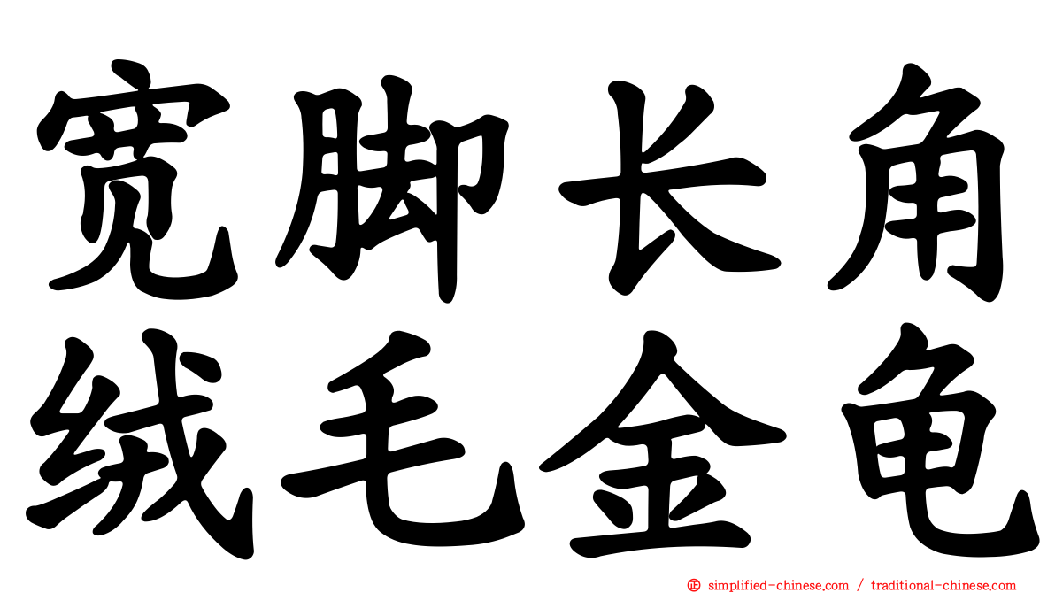 宽脚长角绒毛金龟