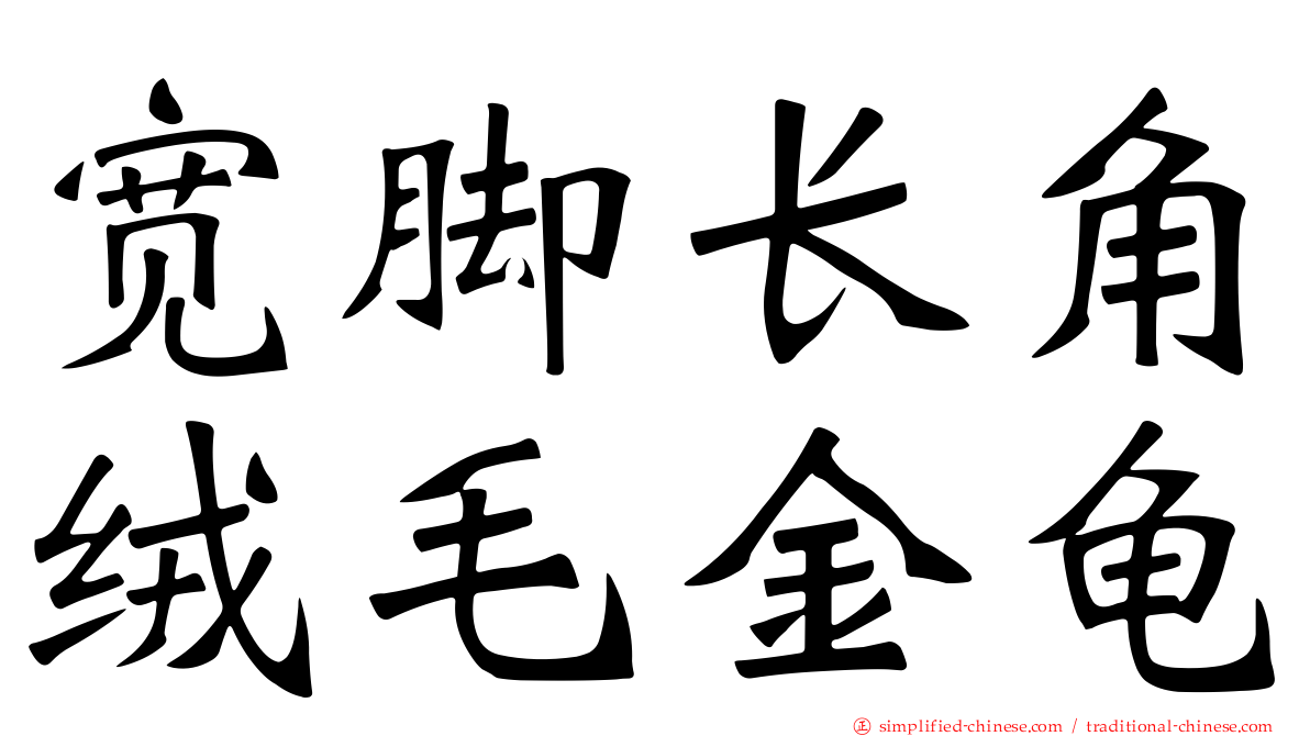 宽脚长角绒毛金龟