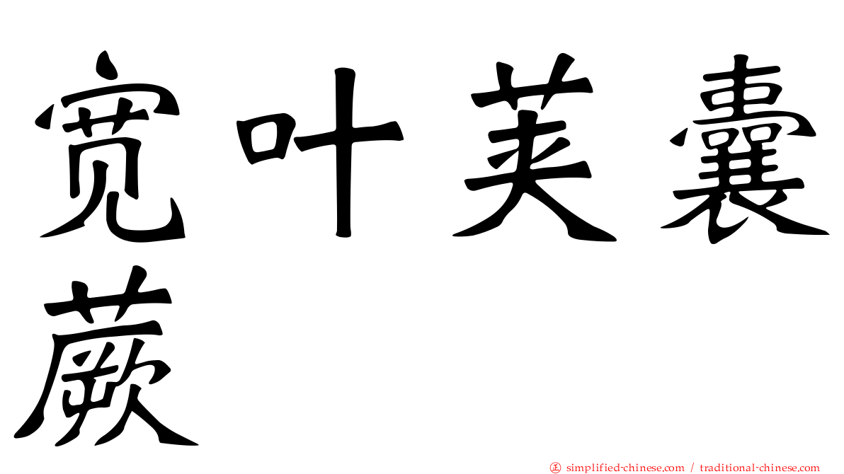 宽叶荚囊蕨